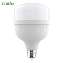 Ballet T Bulb